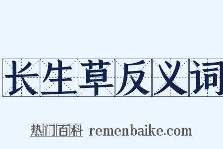 长生草反义词是什么意思的图片